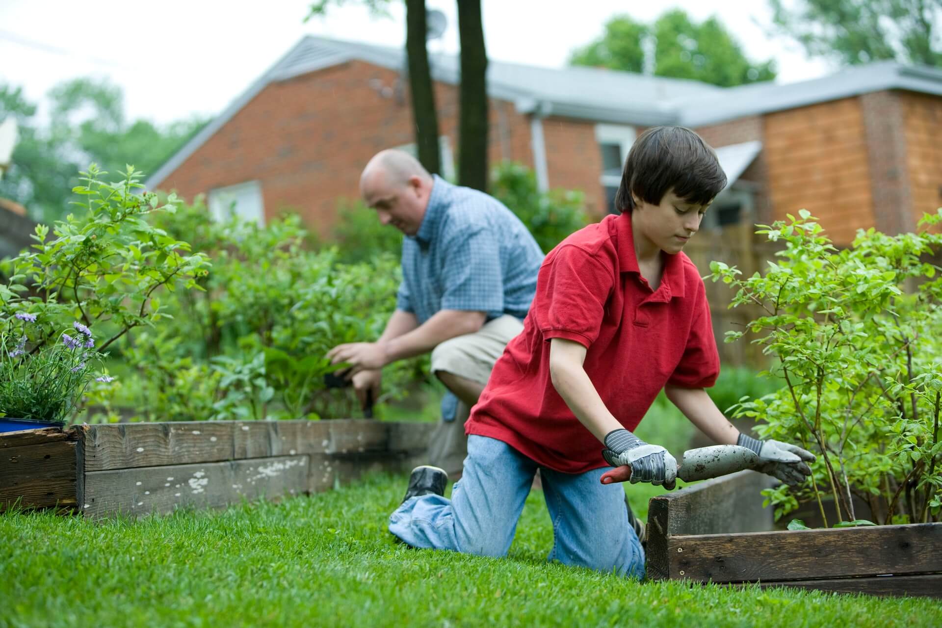 Environment Ways To Keep Safe And Healthy