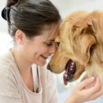 Naturally Treat The Condition Of Stress In Dogs With CBD Oils